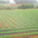 빛들마을 이미지