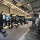 페르소나 피티샵 이미지