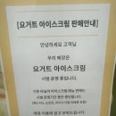 빽다방 춘천석사cgv점 요거트아이스크림 꿀초링세트 내돈내산 후기