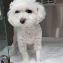 영민동물병원 이미지