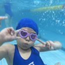 어푸어푸 이미지