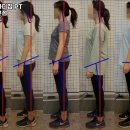 로얄바디짐 이미지