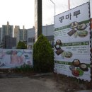 콩마루 이미지