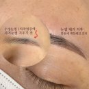 디자인선 이미지