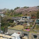 송학동-05 이미지