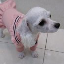 잠실준25시 동물병원 이미지