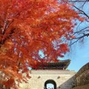 영남분회경로식당 | 2025 문경세재 단풍 절정시기 및 트레킹코스,주차, 맛집, 주변명소