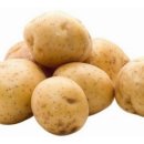 다물농장 이미지