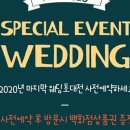 레이첼웨딩플랜