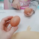 베베마트 이미지