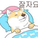 네이처나루