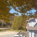 순일농장 이미지