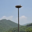 예산 황새공원 이미지