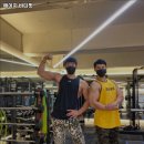 에이치 바디 핏 이미지