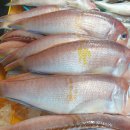 훈이한우농장 이미지