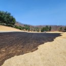 다온공인행정사 이미지