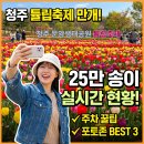 송이테마공원 주차장 | 청주 문암생태공원 튤립 축제 25만송이 실시간 개화상황 주차 사진 명당 3곳