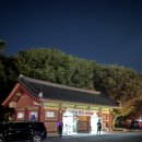 양산 | [양산/통도사]2025 국가유산 미디어아트 양산 통도사 후기