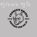 크로스핏 라이노 이미지