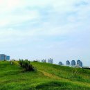 국토법률행정사사무소 이미지