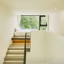 스테이비안 이미지