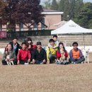 애견코리아 이미지