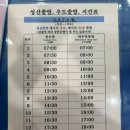 제주 우도 여행 (배시간, 바이크, 우무깨식당)