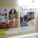 케이원패션 이미지