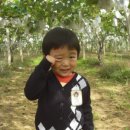 참빛농장 이미지