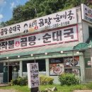 여행트리 이미지