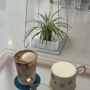 듀베티커피숍