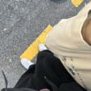 8월 펜타포트 기록, 2023 인천 펜타포트 락페스티벌 / 망원 취미미술 스튜디오 본즈