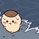 오 포토 네이버블로그