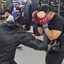 판교스타복싱