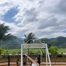 장풍목장 | 나트랑 가성비 사막 투어 비용 예약 투어 가격 내돈내산 후기!