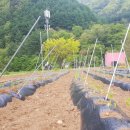 다래골농장 이미지