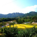 영취산 ( 신선봉- 영축산 - 꼬깔봉) 연계산행 ( 경남 창녕 ) 이미지