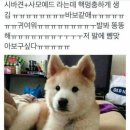 건짐 이미지