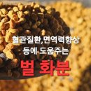 벌 화분 효능과 먹는방법 부작용 이미지