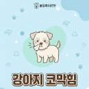 구미옥계동물병원 이미지