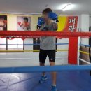 김봉준체육관 이미지