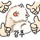 나의강아지에게