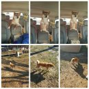 도기헤븐 이미지