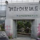 개화허브랜드에서(2011.06.15충남웅천) 이미지