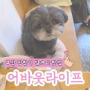 어바웃라이프 - 수영구 남천동로22번길 10 | 부산 남천동 광안리 해수욕장 근처 수제 밀크티 전문 카페 어바웃라이프
