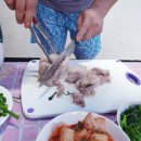 06.시전삼거리(도고온천) | 가리산 계곡 밸리하우스, 놀이 먹거리 모든 끝판왕 투어!