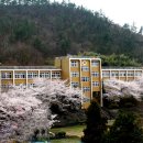 여수중앙여자중학교 이미지