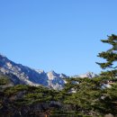 비상(소공원) 이미지