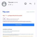 결항..?!(빙하투어 셀프vs여행사vs택시/비용/연락처/날씨/옷차림/트립닷컴 결항/마이뱅크 여행자보험)