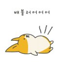 수유 왕족발 보쌈 이미지